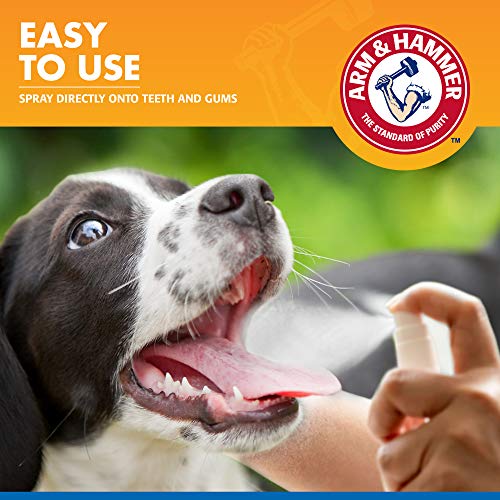 Arm & Hammer Mint Dental Spray for Dogs