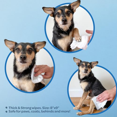 Plant-Based Pet Grooming Wipes for Dogs & Cats