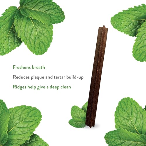 Shameless Pets Tooth Berry Dental Treats for Dogs