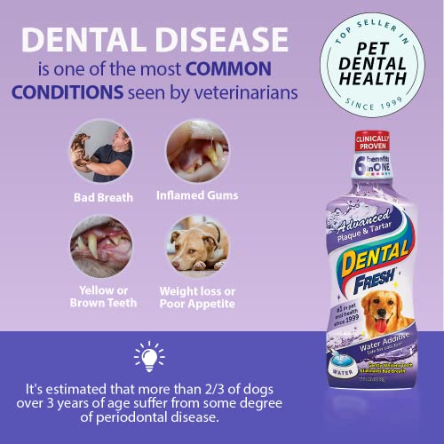 Dental Fresh Water Additive for Dog Oral Health