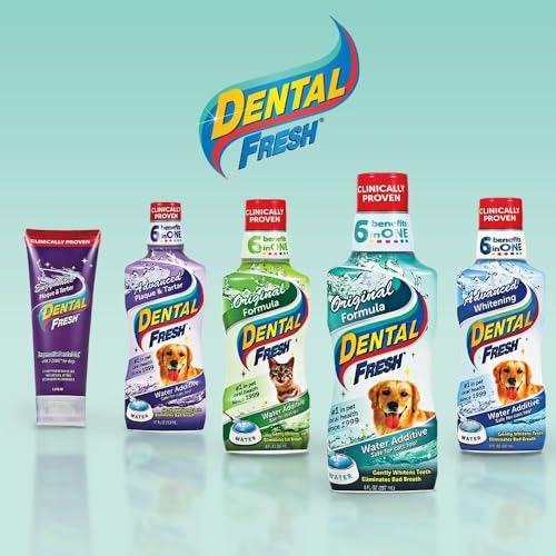 Dental Fresh Water Additive for Dogs, 17oz