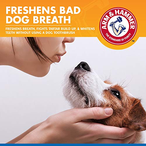 Arm & Hammer Mint Dental Spray for Dogs
