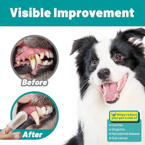 SmileDenX Dental Care Wipes for Dogs and Cats