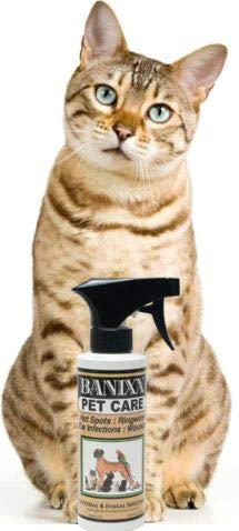 Banixx 8oz Pet Care for Infections