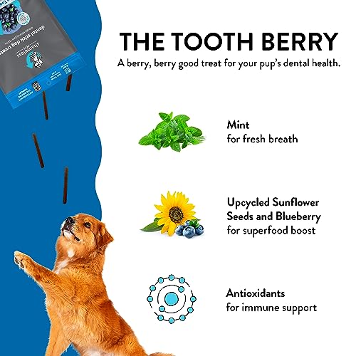 Shameless Pets Tooth Berry Dental Treats for Dogs