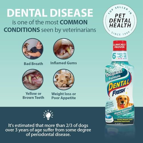 Dental Fresh Water Additive for Dogs, 17oz