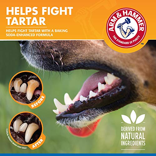 Arm & Hammer Mint Dental Spray for Dogs