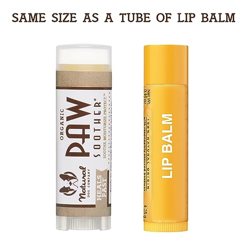Organic Paw Soother Balm Stick for Dogs