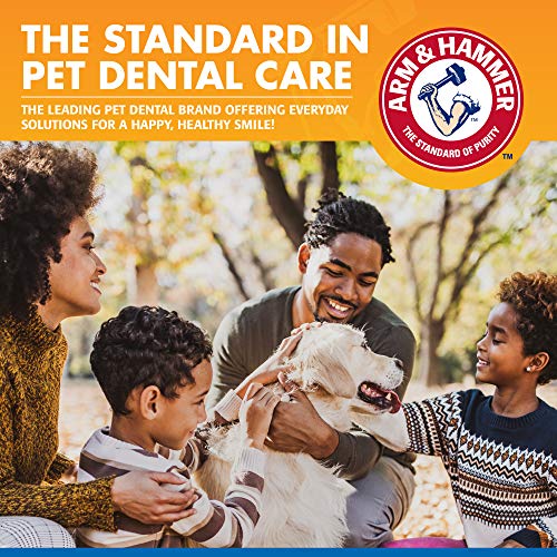 Arm & Hammer Mint Dental Spray for Dogs