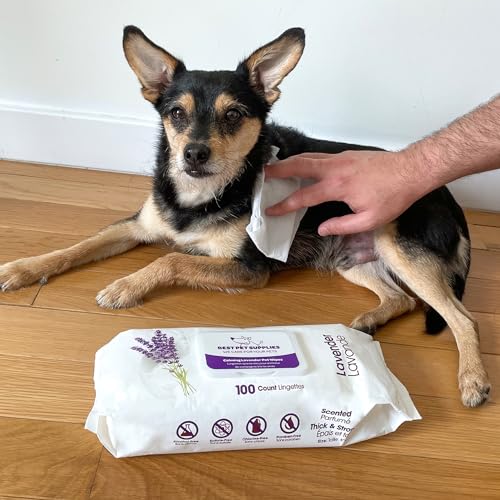 Plant-Based Pet Grooming Wipes for Dogs & Cats