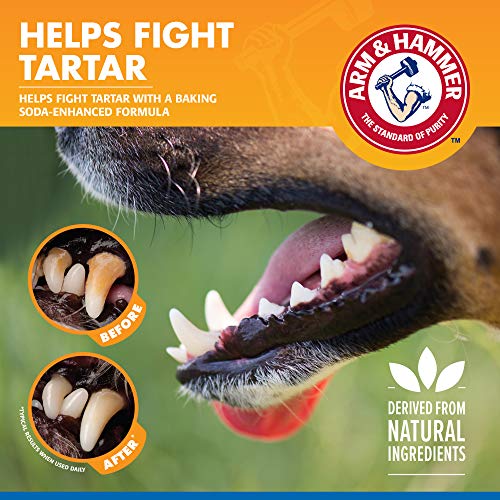 Arm & Hammer Dental Water Additive for Dogs