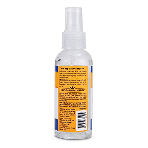 Arm & Hammer Mint Dental Spray for Dogs