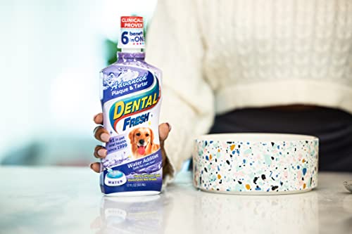 Dental Fresh Water Additive for Dog Oral Health