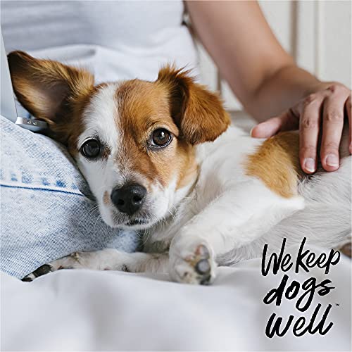 Dogswell Remedy Recovery Antiseptic Spray for Dogs