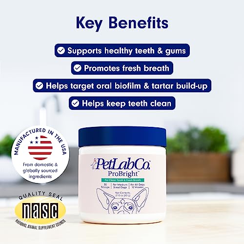 ProBright Dental Powder for Small Dogs