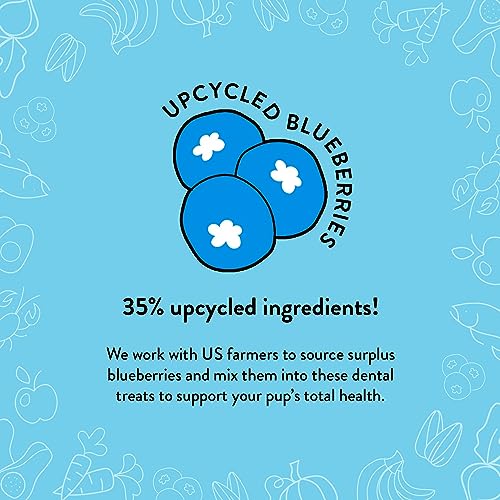 Shameless Pets Tooth Berry Dental Treats for Dogs