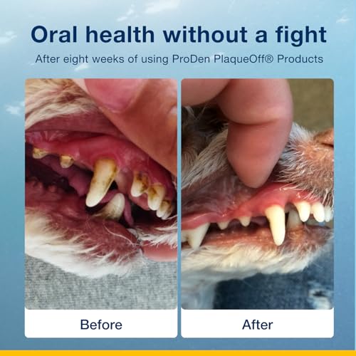 ProDen PlaqueOff Dental Care for Pets, 60g
