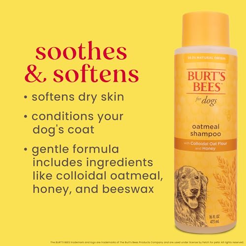 Burt's Bees Oatmeal Dog Shampoo for Sensitive Skin