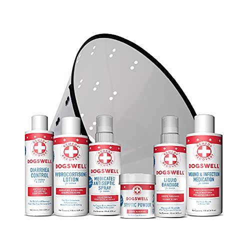 Dogswell Remedy Recovery Antiseptic Spray for Dogs