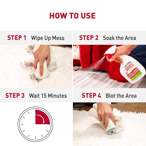 Nature's Miracle Enzymatic Dog Stain Remover, 32 fl oz