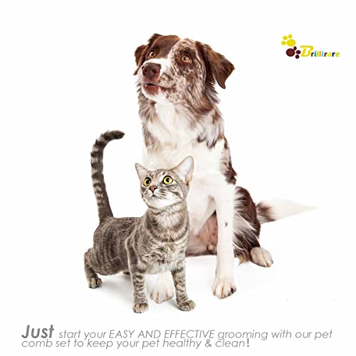BrilliRare 4 Pack Flea & Lice Grooming Combs