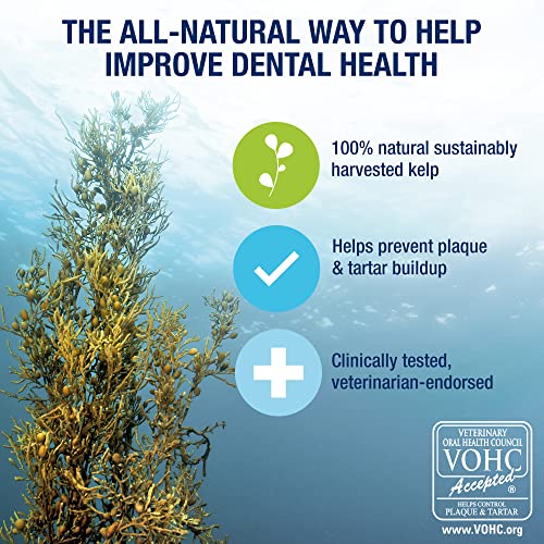 PlaqueOff Powder for Dog and Cat Breath