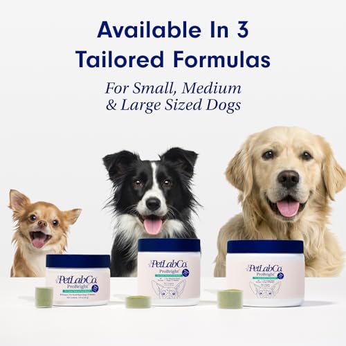 ProBright Dental Powder for Small Dogs