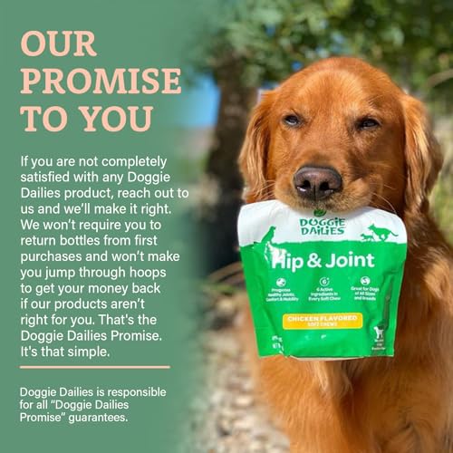 Premium Dog Joint Supplement with 120 Chews