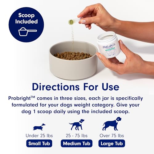ProBright Dental Powder for Small Dogs