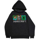 Minecraft Hoodie and T-Shirt Set for Boys