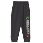 Minecraft Kids Fleece Hoodie and Jogger Set