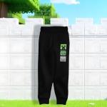 Minecraft Hoodie and Jogger Set for Boys