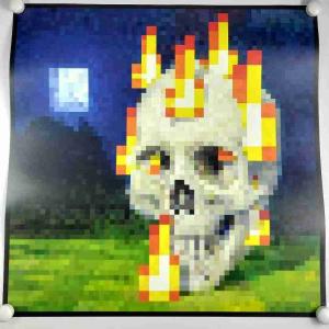 Skull On Fire Minecraft Premium Glossy Poster