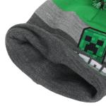Minecraft Creeper Youth Beanie and Gloves Set