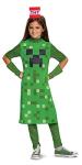 Disguise Minecraft Creeper Girls' Costume