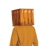 Minecraft Jack O'Lantern Block Head, Official Minecraft Costume Accessory for Kids, Single Size Costume Mask (14+)