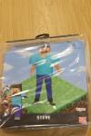 Disguise Steve Deluxe Minecraft Costume, Multicolor, Large (10-12)