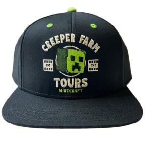 Minecraft Movie Little & Big Boys Snapback Baseball Hat Black