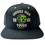 Minecraft Movie Little & Big Boys Snapback Baseball Hat Black