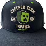 Minecraft Movie Little & Big Boys Snapback Baseball Hat Black