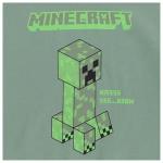 Minecraft Boys Hoodie Sweatpants Set - Black and Green Creeper Face Costume Hoodie Sweatshirt and Sweatpants Set (Jade Black, X-Large)