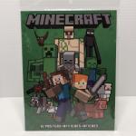 Minecraft Poster 12-Pack Trends Mojang