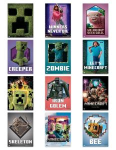 A Minecraft Movie Poster Book Poster Book