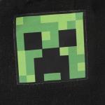 Minecraft SSSS Creeper Toddler Black 2-Piece Knit Beanie & Gloves Set