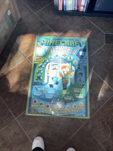 minecraft overworld poster