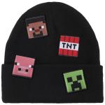 Minecraft Printed Character Patches Black Cuff Beanie