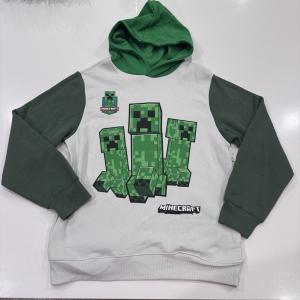 Minecraft Boys Hoodie with Long Sleeves, Pockets 2XL (18)
