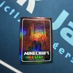 2024 Panini Minecraft Milestones SSP Ultra Rare Case Hit Nether Update #9