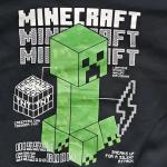 MINECRAFT Boys Size 4/5 Double Sided Pullover Hoodie with Kangaroo Pocket New