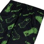 Minecraft Boys' 2-Pack Pajama Pant, Soft & Comfortable for Kids, FUN WITH MINECRAFT, M6/8